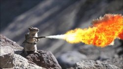 Flamethrower Squirrel Meme Template