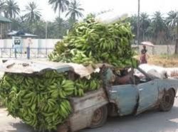car full of bananas Meme Template
