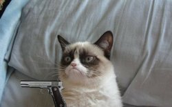 Grumpy cat gun Meme Template