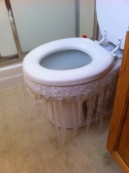 Frozen toilet Meme Template