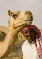 Arab with camel Meme Template