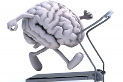 Brain on Treadmill Meme Template