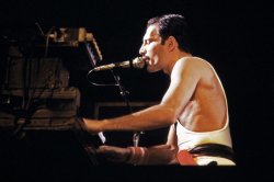 freddy mercury piano Meme Template
