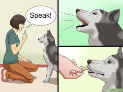 Dog speak Meme Template