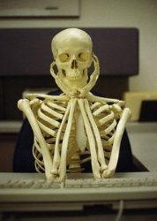 Me waiting for Shane to upload a video  Meme Template