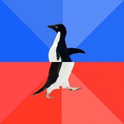 Socially awkward awesome penguin Meme Template