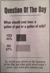 survey Meme Template