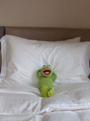 kermit bed Meme Template