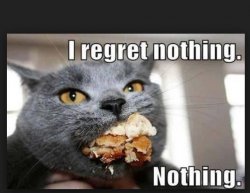 I regret nothing Meme Template