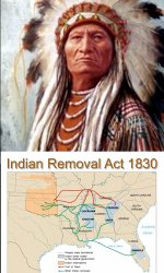 Chief Trail of Tears Meme Template