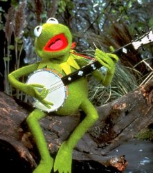 Kermit Banjo Meme Template