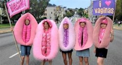Pussy costumes Meme Template