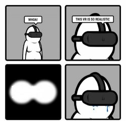 Whoa! This VR is so realistic! Meme Template