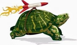 The way the tortoise won the race vs the hare he had a jet pack Meme Template