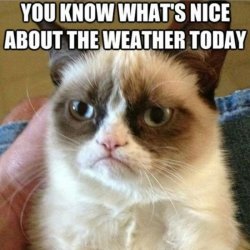 Grumpy's Weather Meme Template