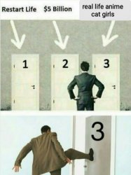 3 choises Meme Template