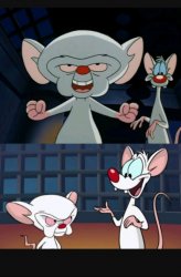 Pinky and the Brain dialogue Meme Template
