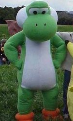 Disappointed Yoshi Meme Template