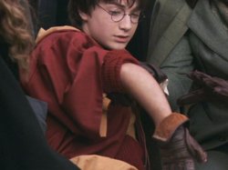 Harry Potter Meme Template