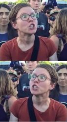 Angry Liberal Hypocrite Meme Template