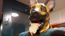 Philadelphia Eagles Underdog Dog Mask Meme Template