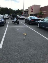 Broom Meme Template