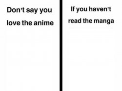 Don't Say You Love the Anime If You Haven't Read the Manga Templ Meme Template