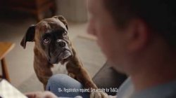 Clear Score Meme Template