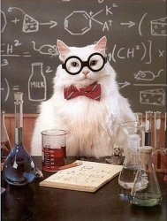 Chemistry Cat Blank Meme Template