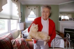 Stuffed cat Meme Template