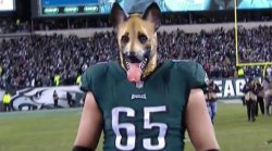 Underdog Eagles #65 Meme Template