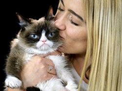 Trump cat owner won $700,000 lawsuit Meme Template