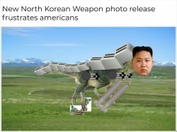 north korea legitimate weapons Meme Template