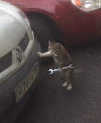 Mechanic cat Meme Template