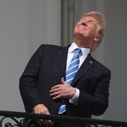 Trump looks at the sun Meme Template