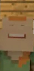 THE FACE YOU MAKE WHEN YOUR IN MINECRAFT Meme Template