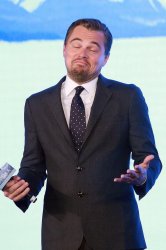 Leonardo DiCaprio when someone calls you an asshole... Meme Template