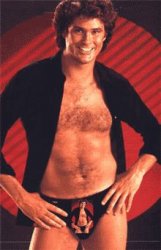 Infinite Hoff Crotch Meme Template