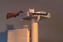 Cat with gun Meme Template