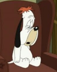 Droopy face Meme Template