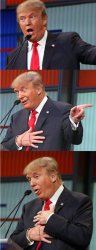Bad_Pun_Trump Meme Template