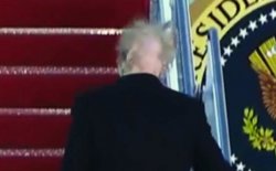 Save Trump's Hair Meme Template