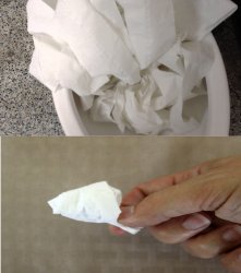 toilet paper Meme Template