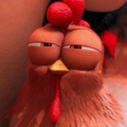 disapproving chicken despicable me 2 Meme Template