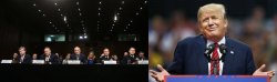 Trump Russia Meme Template
