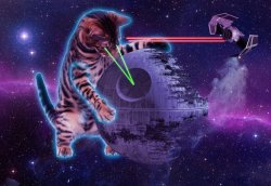 star wars laser cat Meme Template