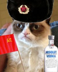soviet grumpy cat Meme Template