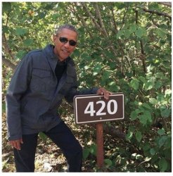 Obama 420 Meme Template