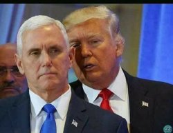 Trumpster Meme Template