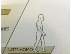 Later Homo Meme Template